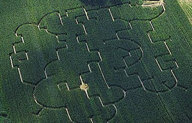 Maislabyrinth | Bad Friedrichshall