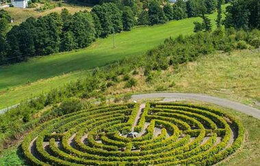 Maislabyrinth | Bad Friedrichshall | © Stadt Drolshagen