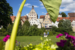 Blick auf die Altstadt von Besigheim mit historischen Gebäuden, umrahmt von grünen Pflanzen und bunten Blumen im Vordergrund. | © Stadt Besigheim
