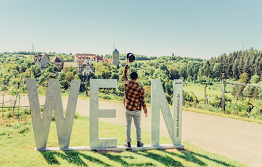 Blick auf die Burg Liebenstein mit Wein-Fotospot | © Touristikgemeinschaft HeilbronnerLand e.V.