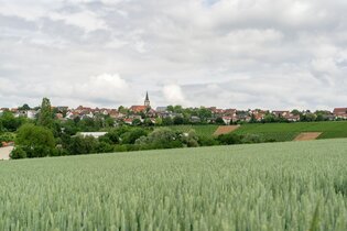 DSGVO NT Neckarwestheim Blick auf Neckarwestheim WEB