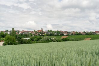 DSGVO NT Neckarwestheim Blick auf Neckarwestheim WEB