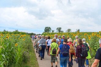 Maulbronner Kammerchor: Wanderkonzert I