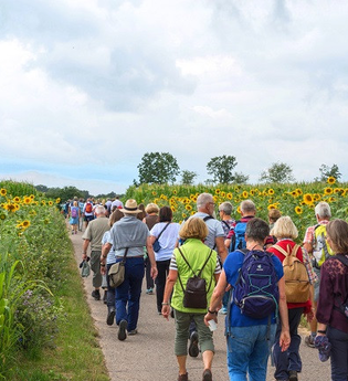 Maulbronner Kammerchor: Wanderkonzert II