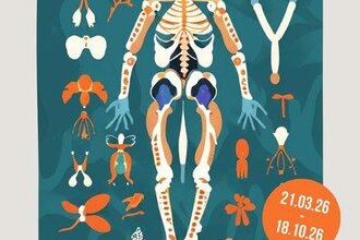 Human Remains