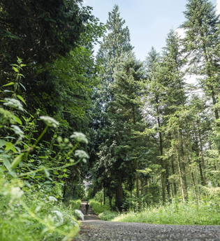 Michelbacher Viehweide - ein Blick in die Vergangenheit | © TMBW