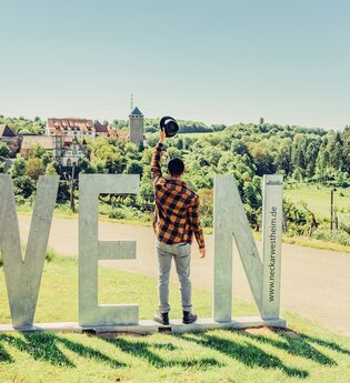 Blick auf die Burg Liebenstein mit Wein-Fotospot | © Touristikgemeinschaft HeilbronnerLand e.V.