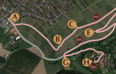 Lageplan Weingüter & Wanderstrecke | Mit Wein zu Liebenstein | Neckarwestheim