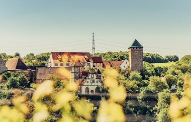 Blick auf eine Schlossanlage zwischen Wald und Weinbergen