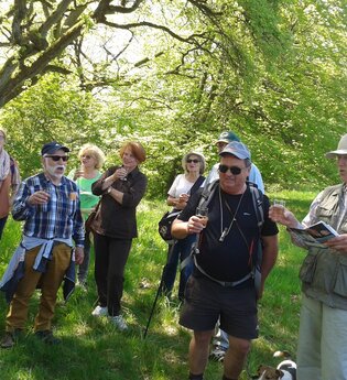 Mittwoch-Wanderung im September | © Fremdenverkehrsverein Wertheim