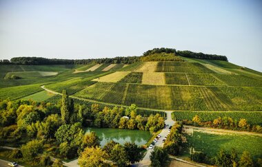 Mönchsbergsee mit Weinausschank vom Weinkonvent Dürrenzimmern | Brackenheim | HeilbronnerLand | © Weinkonvent Dürrenzimmern