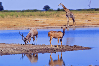 Multivisionsshow - Südafrika | © Kurverwaltung