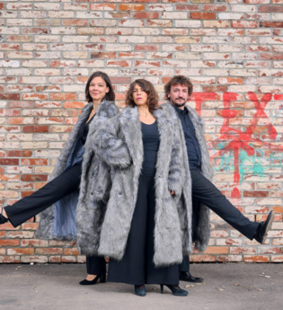 Foto von Trio vis-à-vis | © © Martin Sigmund