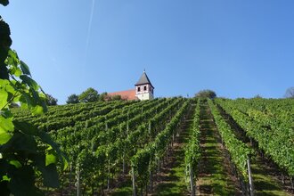 Blick auf den Micaelsberg Cleebronn | Schönste Weinsicht Württemberg | © Neckar-Zaber-Tourismus e.V.