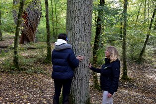 Mythos Baum | © Sabine Murschel