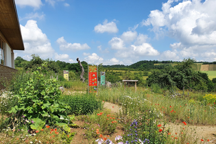 Wildkräuterwelt am Naturparkzentrum Stromberg-Heuchelberg | Zaberfeld | HeilbronnerLand | © Naturpark Stromberg-Heuchelberg