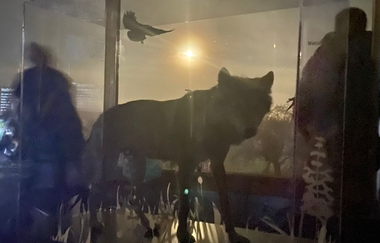 Nachts im Museum | © Angelika Hering