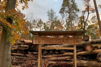 Natürlich künstlich. Wald, Sanddüne und Totholzgarten