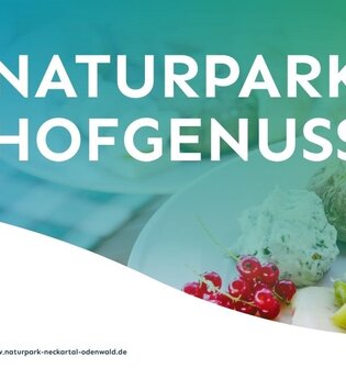 Naturpark-Hofgenuss: Esel- und Picknicktour bei Natur- und Bauernhofpädagogik Larissa Bender | © Naturpark Neckartal-Odenwald