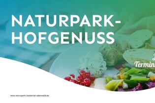 Naturpark-Hofgenuss: Esel- und Picknicktour bei Natur- und Bauernhofpädagogik Larissa Bender | © Naturpark Neckartal-Odenwald