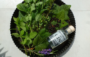 Naturparkmarkt Brackenheim | © Naturpark Stromberg-Heuchelberg