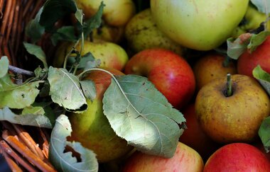 Naturparkmarkt Kürnbach mit verkaufsoffenem Sonntag, Schwarzriesling-Kerwe und Kunsthandwerkermarkt | © Naturpark Stromberg-Heuchelberg