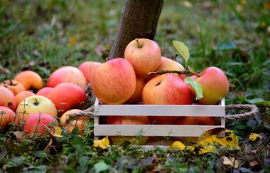 Naturparkmarkt Kürnbach mit verkaufsoffenem Sonntag, Schwarzriesling-Kerwe und Kunsthandwerkermarkt | © Naturpark Stromberg-Heuchelberg