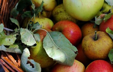 Naturparkmarkt Kürnbach mit verkaufsoffenem Sonntag, Schwarzriesling-Kerwe und Kunsthandwerkermarkt | © Naturpark Stromberg-Heuchelberg