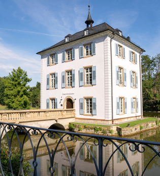 Nickel und Horn, Detektive mit Durchblick