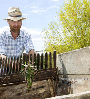 Ein Mann bei der Ernte von grünem Dinkel, während er sorgfältig die Getreidehalme schneidet. | © Odenwälder Freilandmuseum