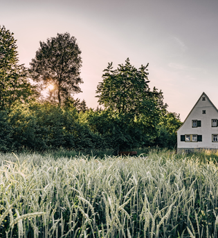 Ein gemütliches Häuschen am Rande eines goldenen Getreidefeldes. Im Hintergrund ragen Bäume empor, während die untergehende Sonne den Himmel in warme Farben taucht. | © Touristikgemeinschaft Odenwald e.V.
