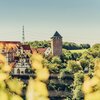 Blick auf eine Schlossanlage zwischen Wald und Weinbergen | © Touristikgemeinschaft HeilbronnerLand e.V.