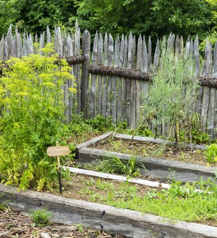 Ökogarten Baumerlenbach Gartenbesichtigung | © TMBW