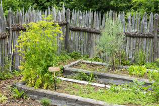 Ökogarten Baumerlenbach Gartenbesichtigung | © TMBW