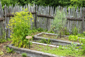 Ökogarten Baumerlenbach Gartenbesichtigung | © TMBW