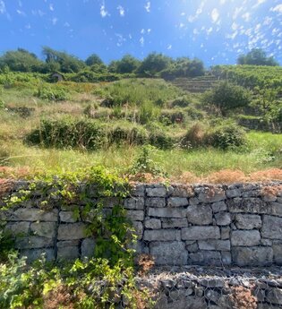 Online-Vortragsabend „Das Miteinander von Biodiversität & Landwirtschaft –Weinberge außer Betrieb: Kulturlandschaft im Wandel“
