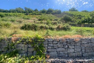 Online-Vortragsabend „Das Miteinander von Biodiversität & Landwirtschaft –Weinberge außer Betrieb: Kulturlandschaft im Wandel“