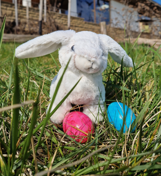 Osterhasenspiel im Naturparkzentrum