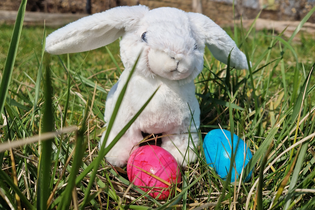 Osterhasenspiel im Naturparkzentrum