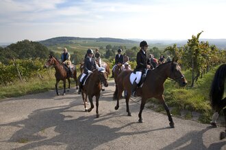 Reiter zu Pferde auf der Wallfahrt | © Landratsamt Rhein-Neckar-Kreis