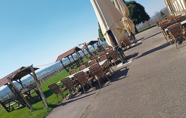 Pfingsten auf der BERG.WEIN.TERRASSE auf dem Amalienhof