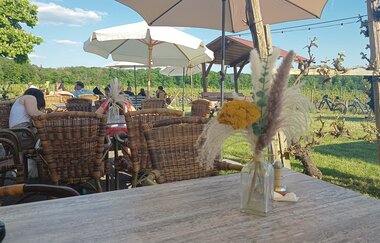 Pfingsten auf der BERG.WEIN.TERRASSE auf dem Amalienhof