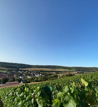 Pfingsthecke im Winzerhof Baumann | © TOURISMUS REGION WERTHEIM GmbH