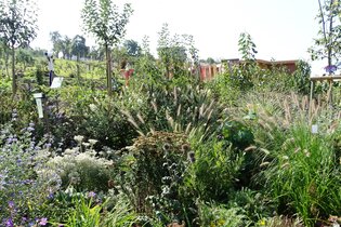 Kräutergarten | © Stadt Öhringen