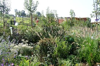 Kräutergarten | © Stadt Öhringen