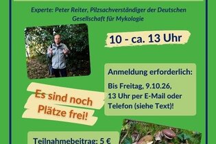 Ankündigung der Exkursion "Pilze rund um den Kohlhof" am 11.10.2026 von 10 - 13 Uhr