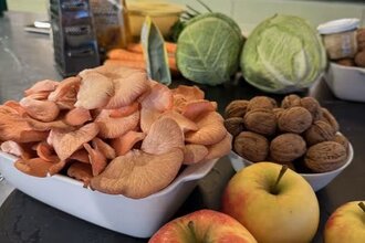 Pilzgenuss - Kochkurs im Winoversum | © Wino Bio