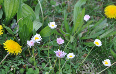 Powerstart in den Frühling | © NZT