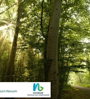 Impulse aus der Natrur | © Naturpark Neckartal-Odenwald e.V.