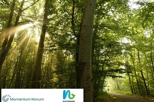 Impulse aus der Natrur | © Naturpark Neckartal-Odenwald e.V.
